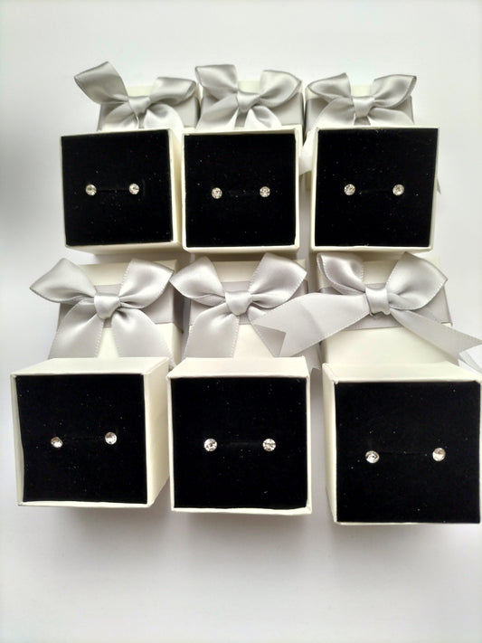 6 Pairs Women's Small Stud Earrings Set Stainless Zircon Silver Plated