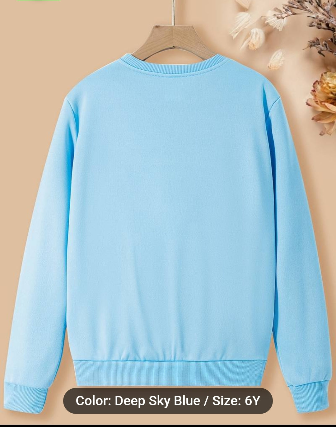 Girls Cute Butterfly Print Casual Long Sleeves Round Neck Sweatshirt Pullover Comfy Active Top Deep Sky Blue 6 Years Old
